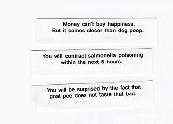 Here are your fortunes! Messages contained in the fortune cookies. Three fortunes possible.